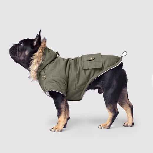 https://www.kudoboard.com/blog-assets/wp-content/uploads/2021/12/Alaskan-Army-Parka-in-Army-Green_Canada-Pooch_Dog-Parka_color..army-green..size_..16_Side_520x.jpg
