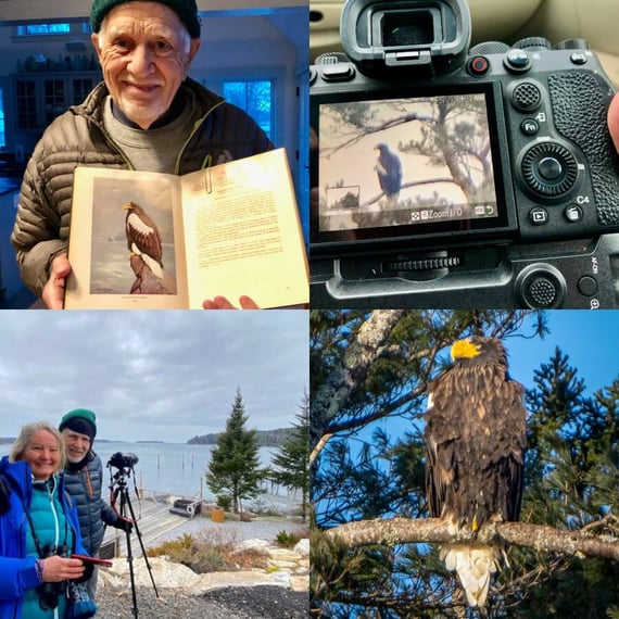 Collage of photos from wildlife rescue