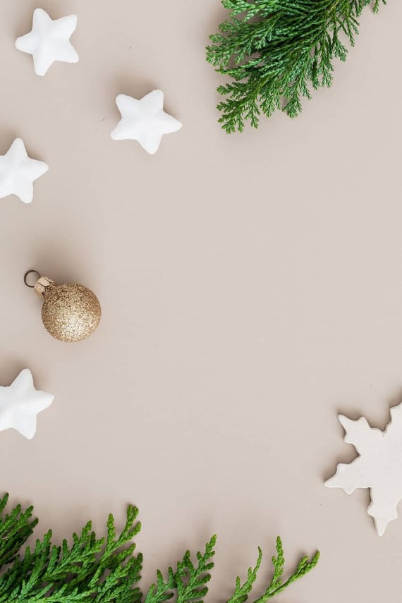 Christmas tree branch, ornament, stars, and snowflakes