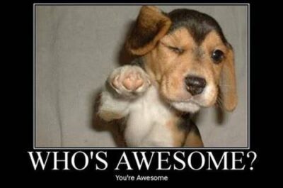 Dog meme that says "you're awesome"