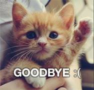 Cat waving goodbye meme
