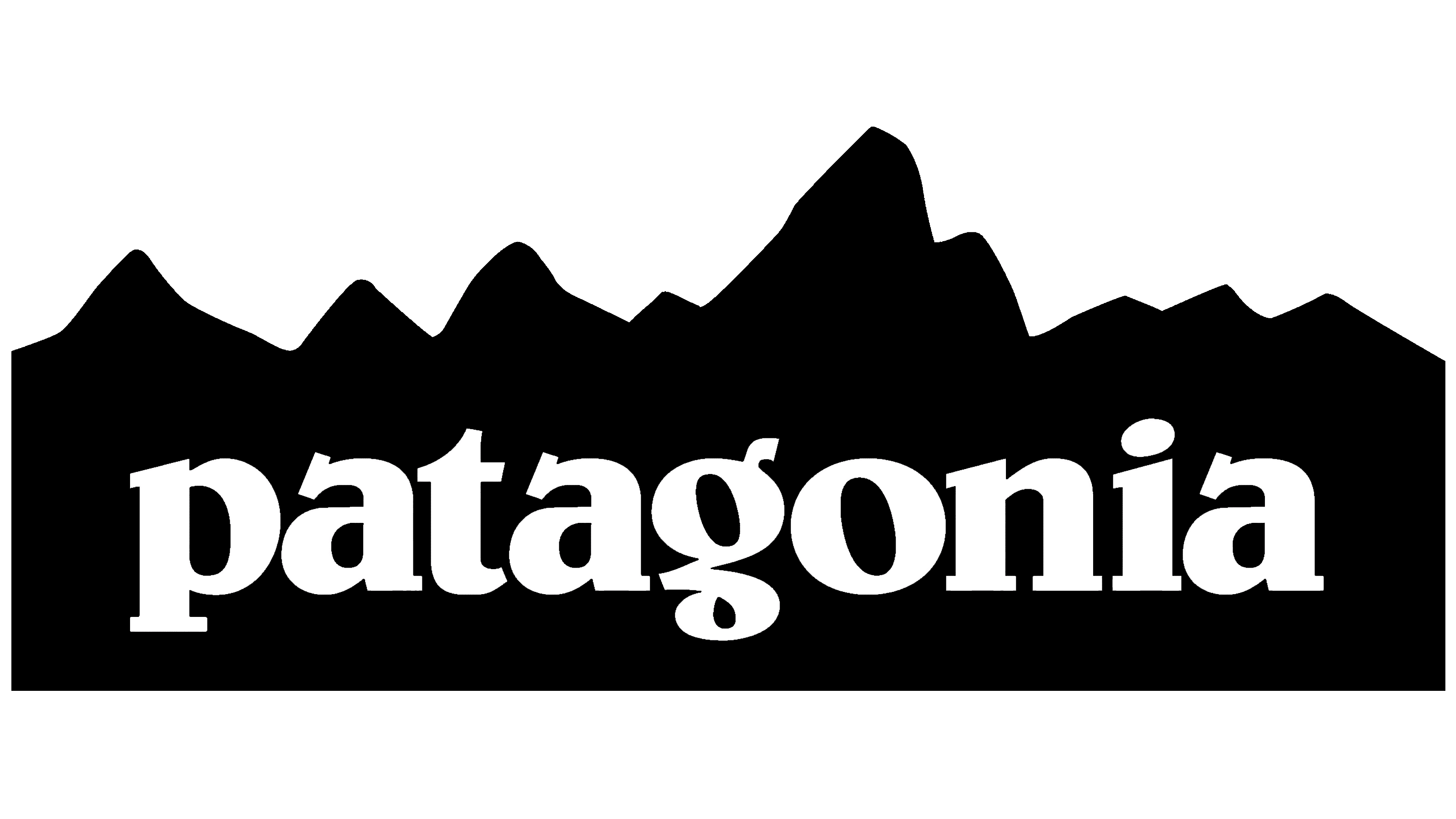 Patagonia logo image