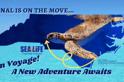 Sea Life "Canal is on the move" header