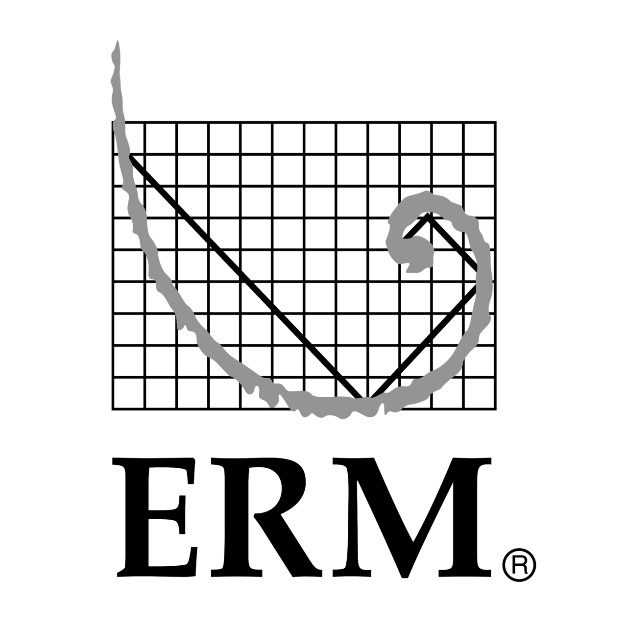 ERM logo image