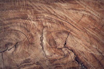 Wood grain with cracks and imperfections