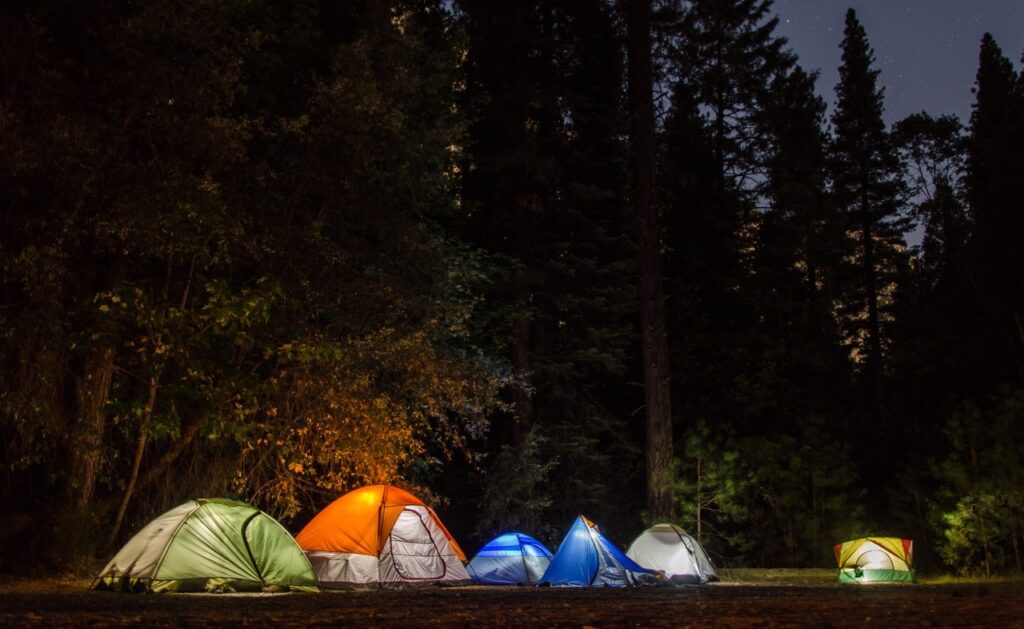 Row of lit camping tents in forest