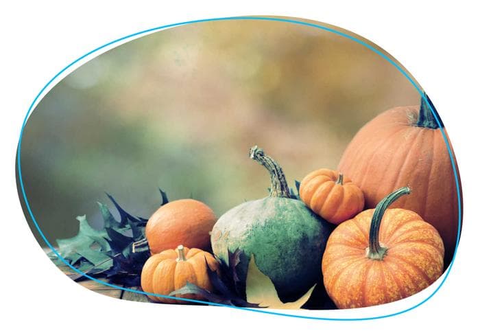 Squash and fall leaves background