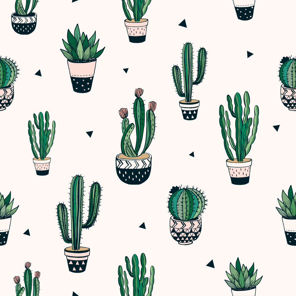 Potted cactus drawings
