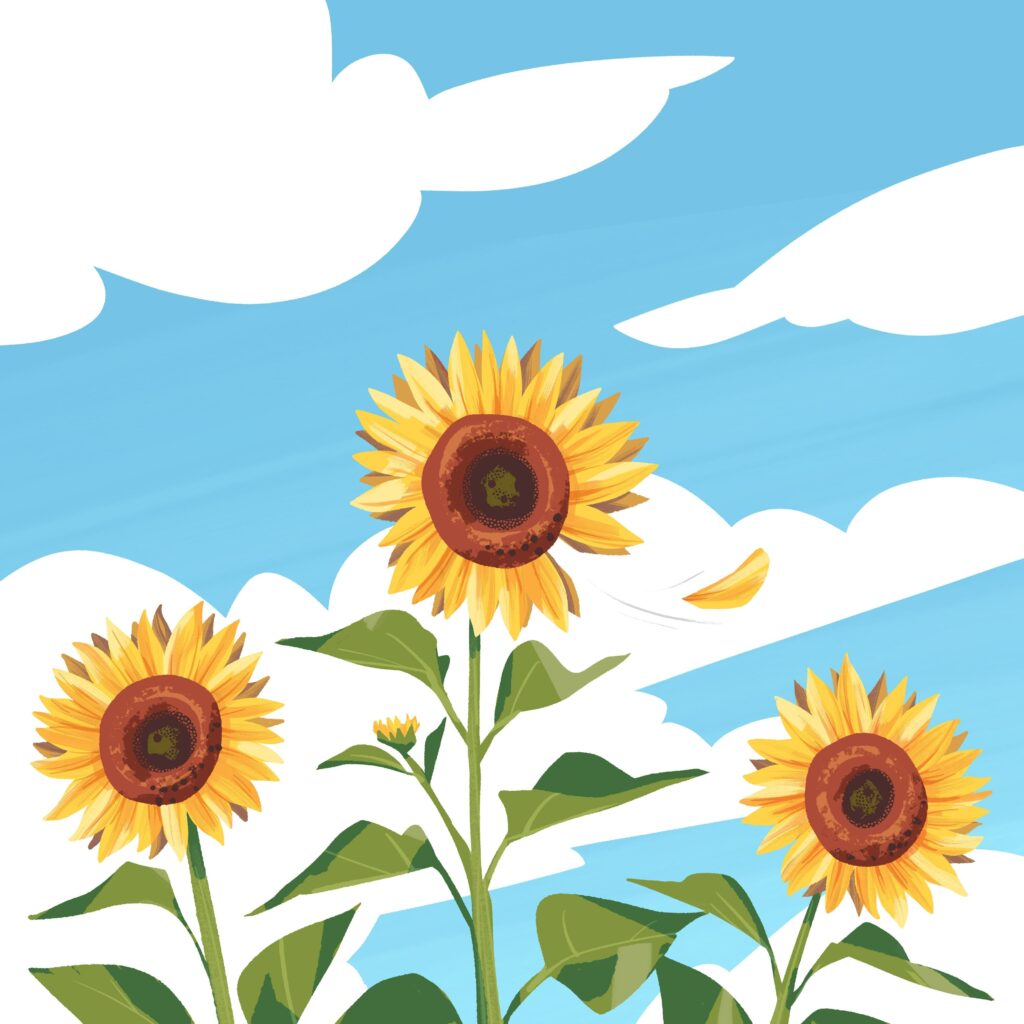 Sunflowers against cloudy sky drawing