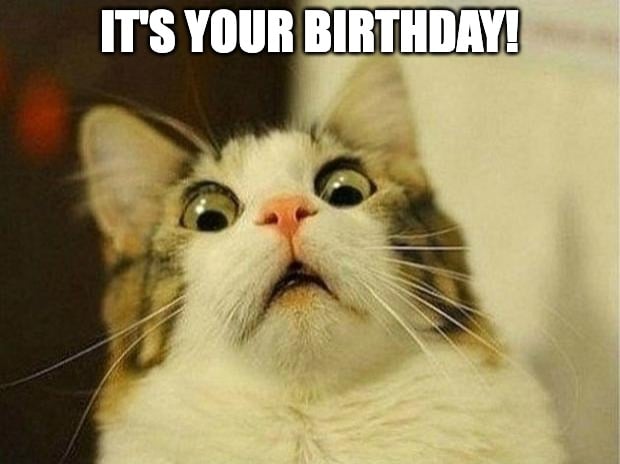 cat birthday meme about surprises