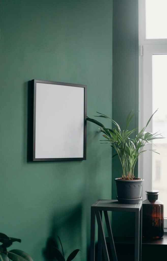 Plant and framed photo by window in art studio