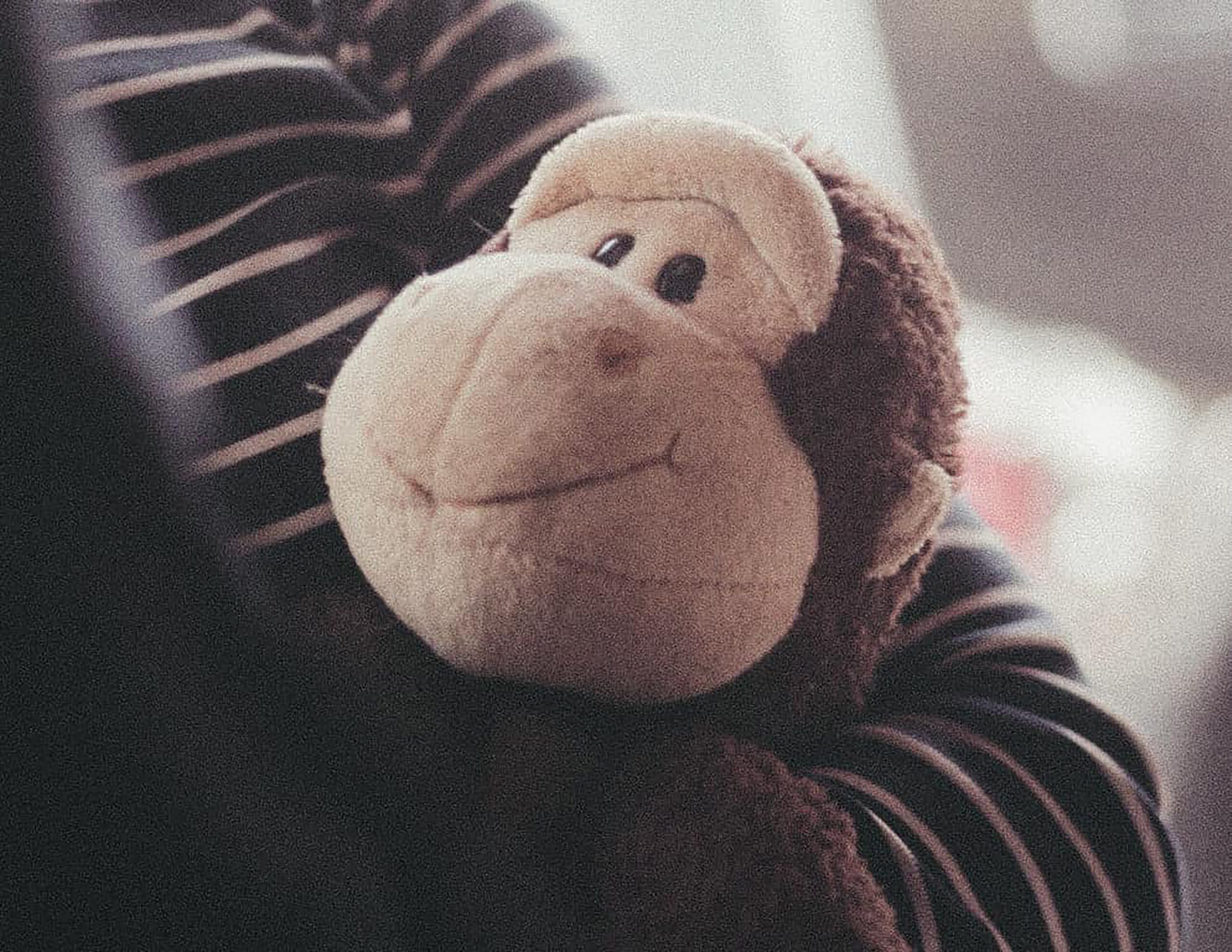 Child holding a stuffed monkey