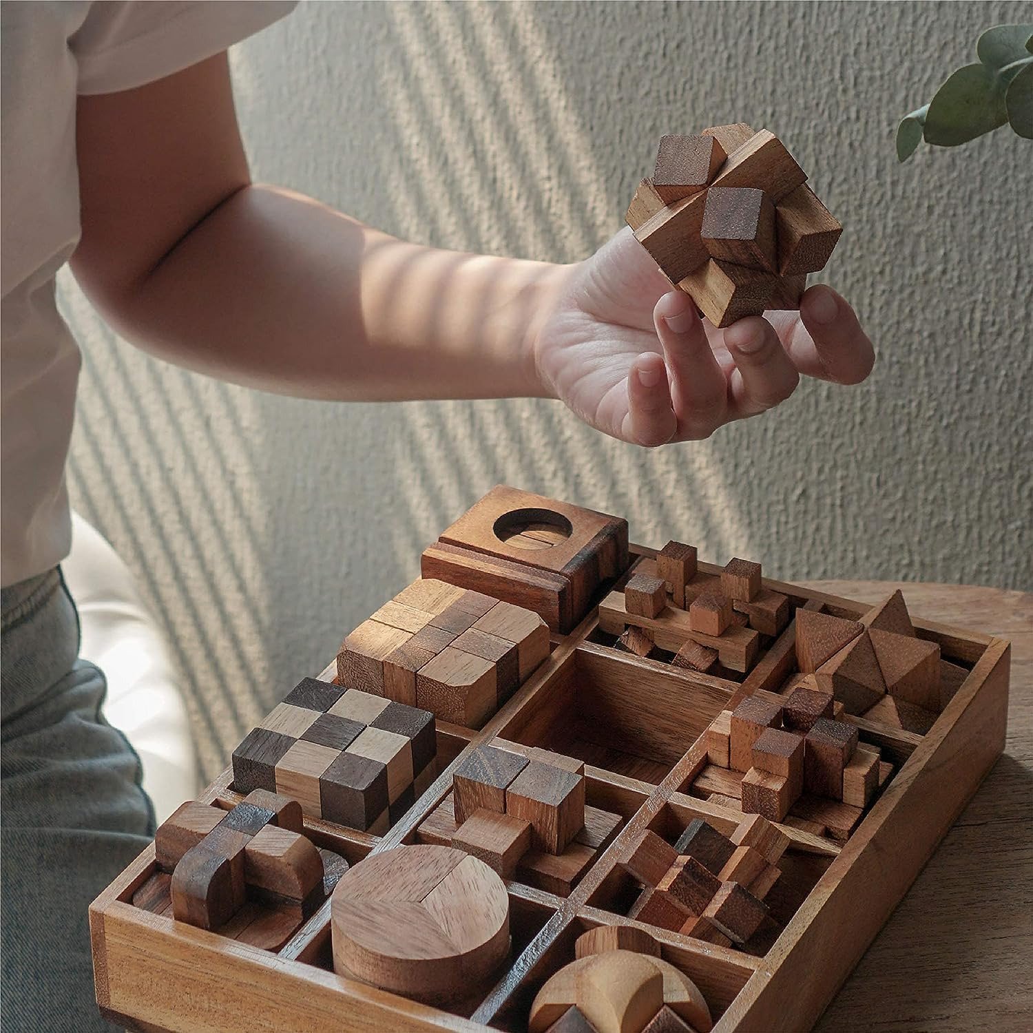 Wooden puzzles in box