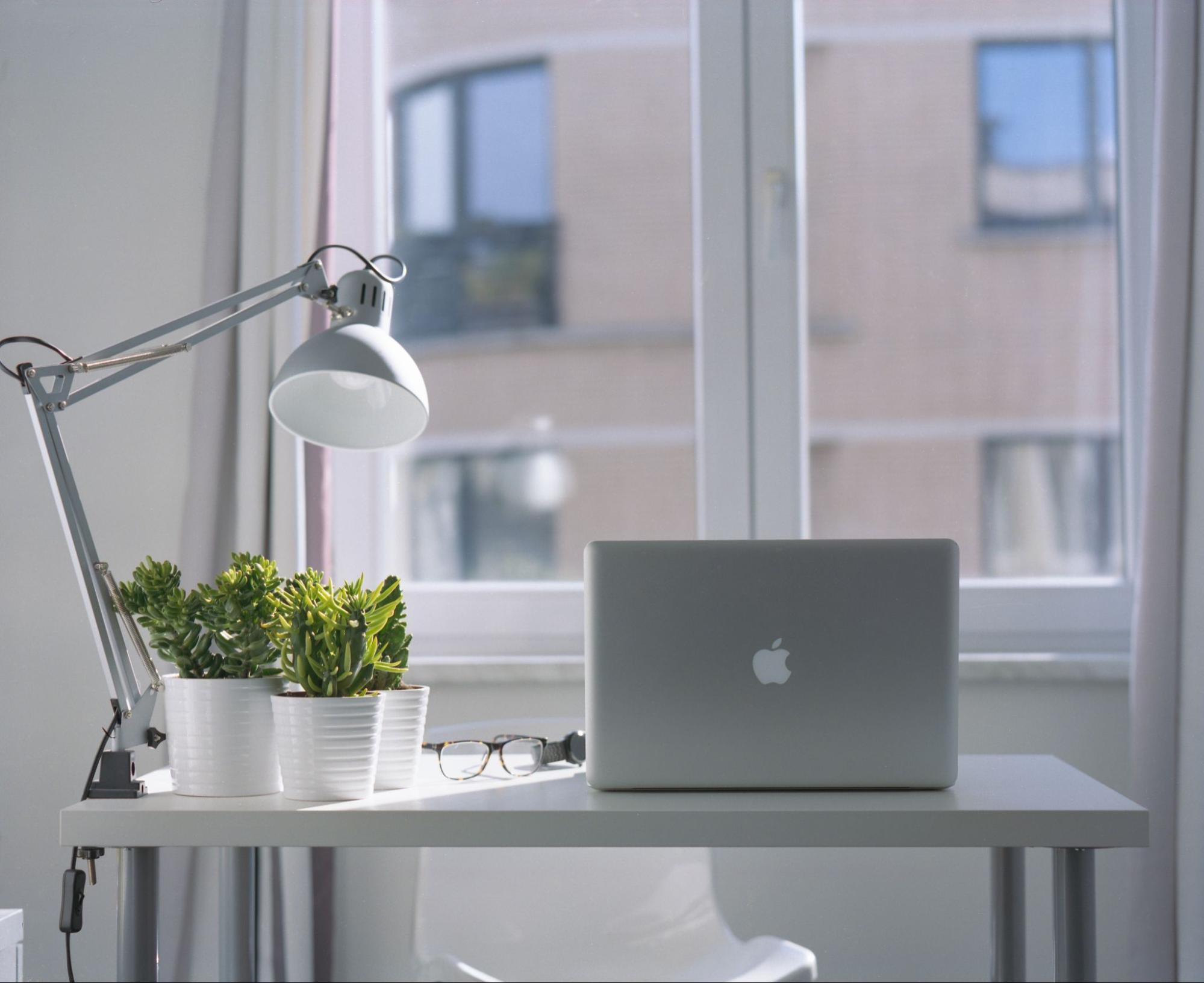 Office desk with plant