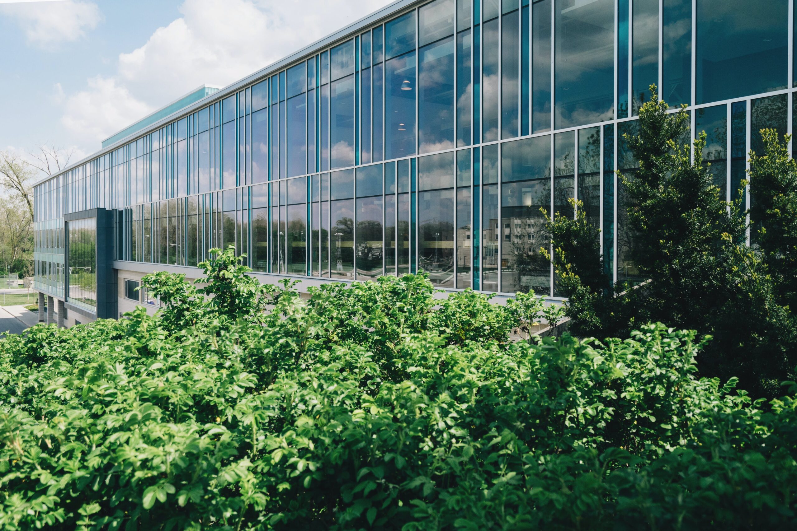 Office with lush greenery around it