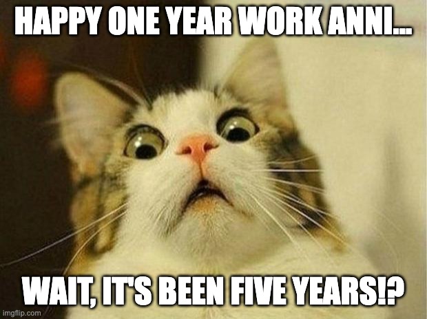 Surprised cat work anniversary meme