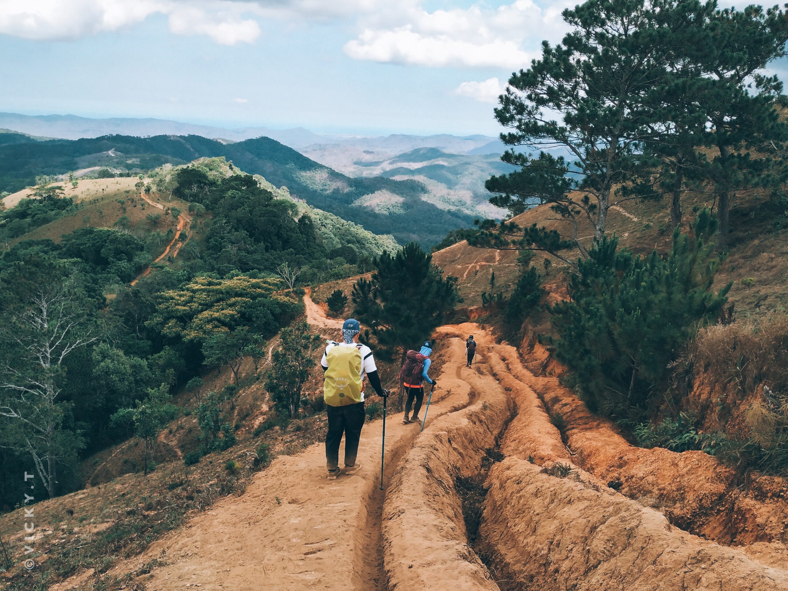 People walking on outdoor trail