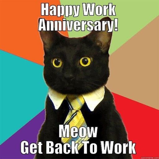 Old school work anniversary cat meme