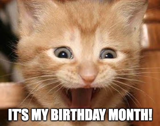It's my birthday month meme with excited cat