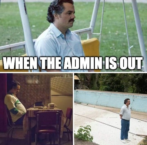 Administrative Professionals Day bored Pablo meme