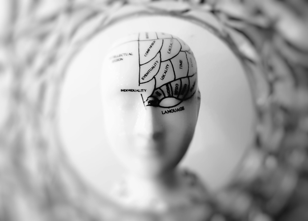 A white phrenology head with areas of the brain mapped out for it, ready for more emotional intelligence from ecards