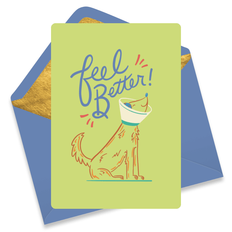 Playful get well eCard featuring a cheerful illustrated dog wearing a recovery cone on a light green background, with hand-lettered “Feel Better!” text—perfect for lifting spirits with a smile.
