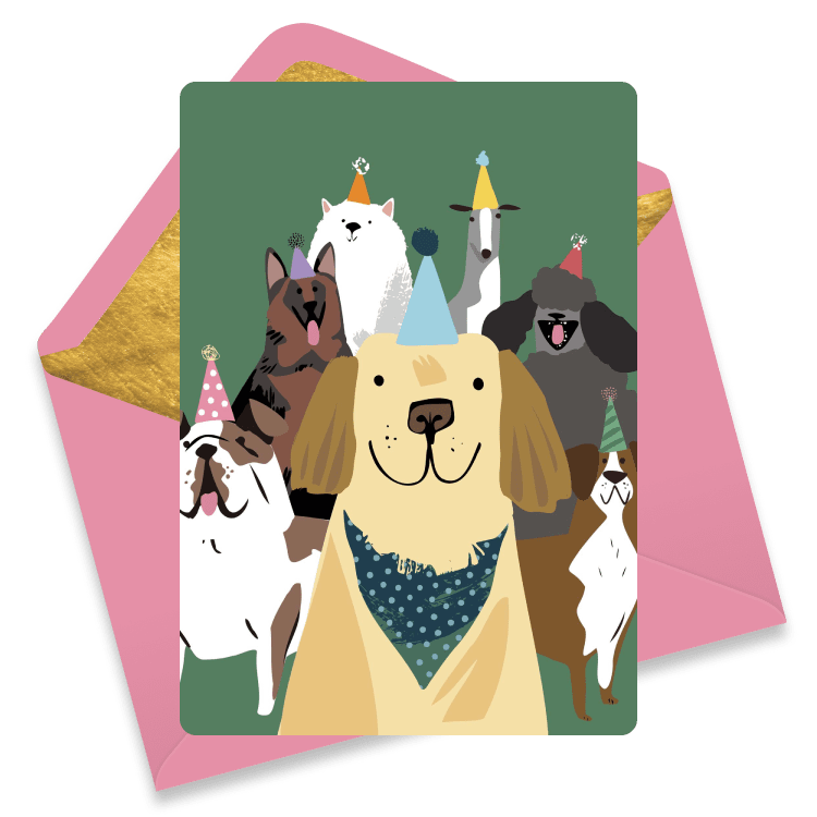 A group of smiling dogs in party hats on a forest green background.