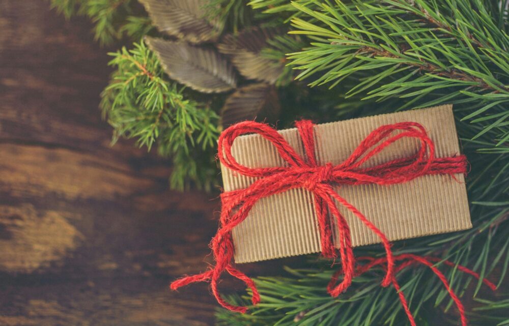 A festive holiday gift wrapped in brown paper and red twine, nestled in a tree bough