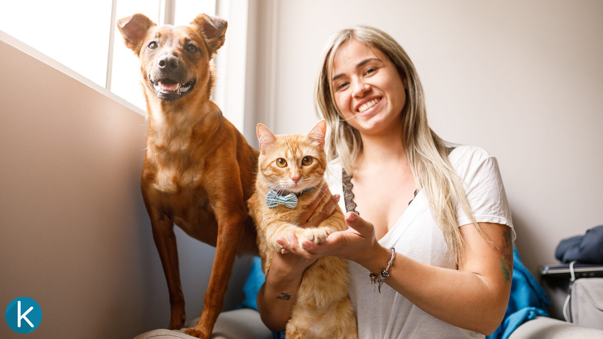 Playful Mother’s Day Wishes for Pet Moms